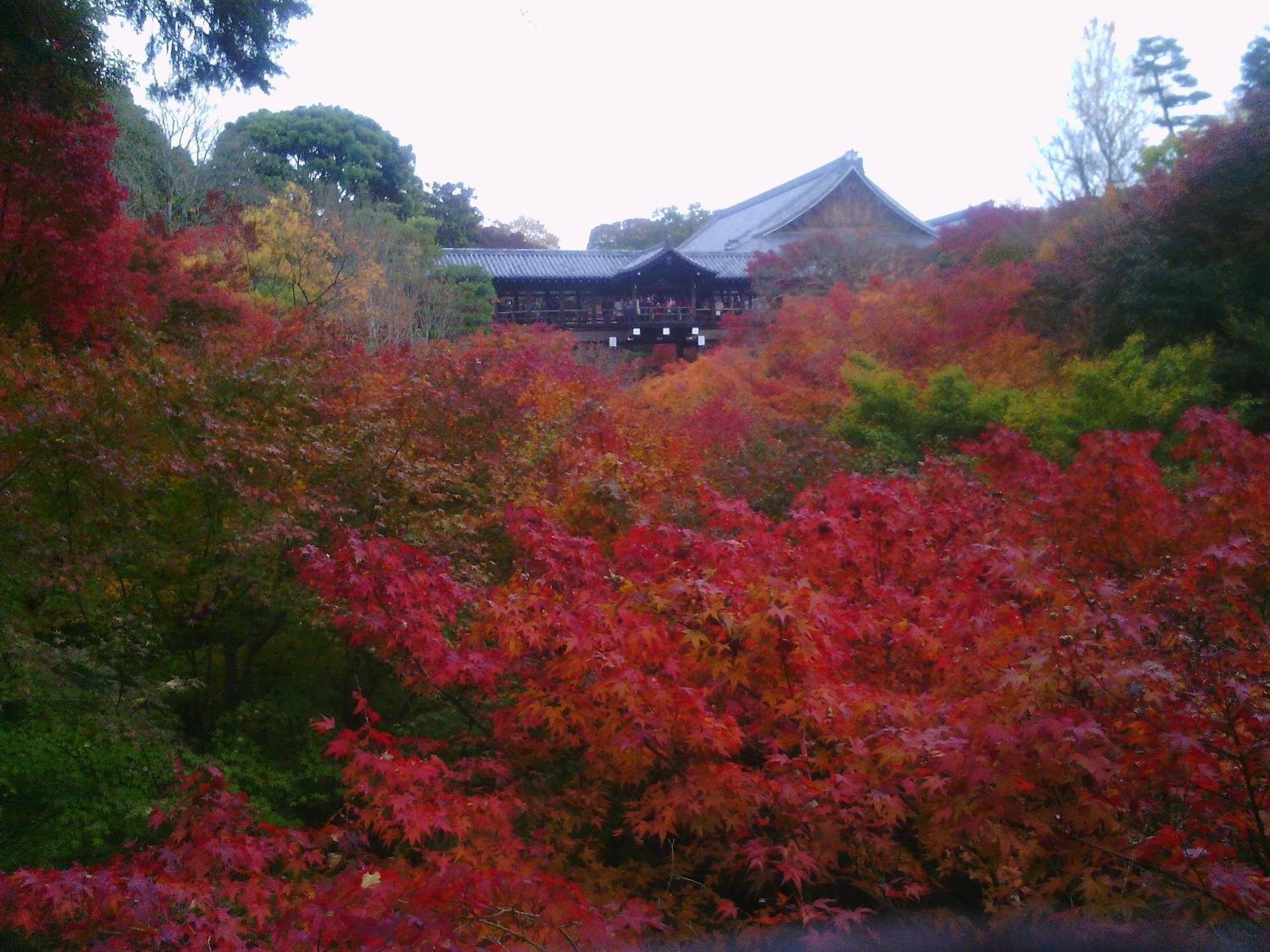Kamuroan Kyoto Eksteriør bilde