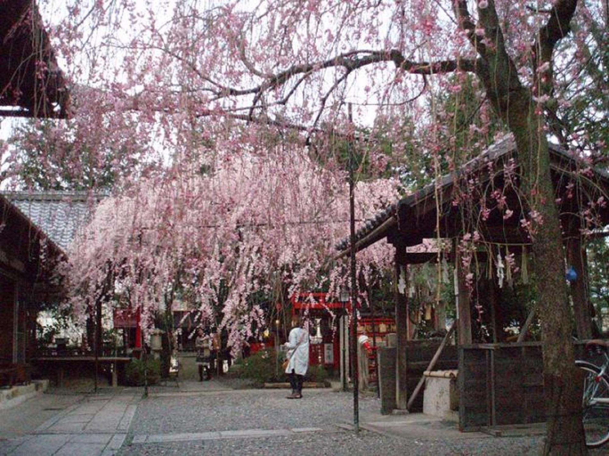 Kamuroan Kyoto Eksteriør bilde